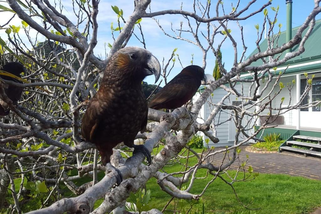 فيلا Glenfern Sanctuary Okiwi المظهر الخارجي الصورة